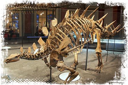 Kentrozaur szkielet