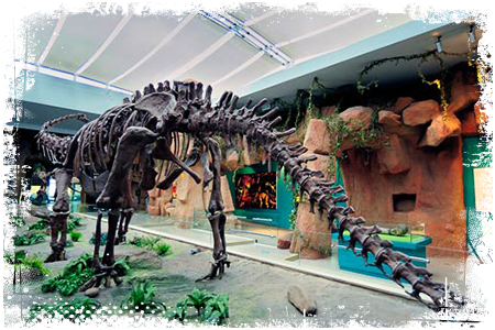 Mamenchizaur szkielet