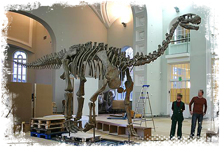 Wulkanodon szkielet